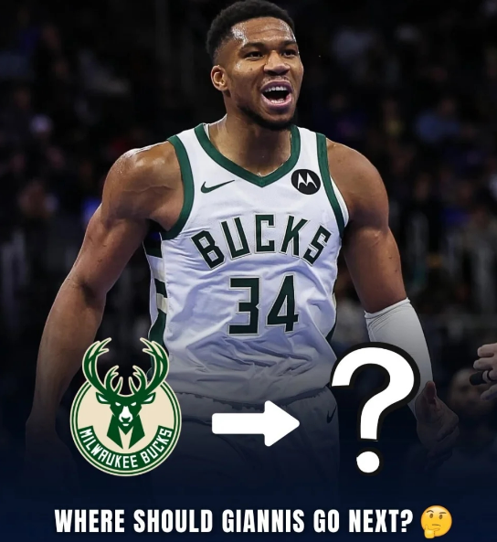 鹿前半程陷, 够展现出足, 再次率领雄 鹿前半程陷, 够展现出足, 再次率领雄