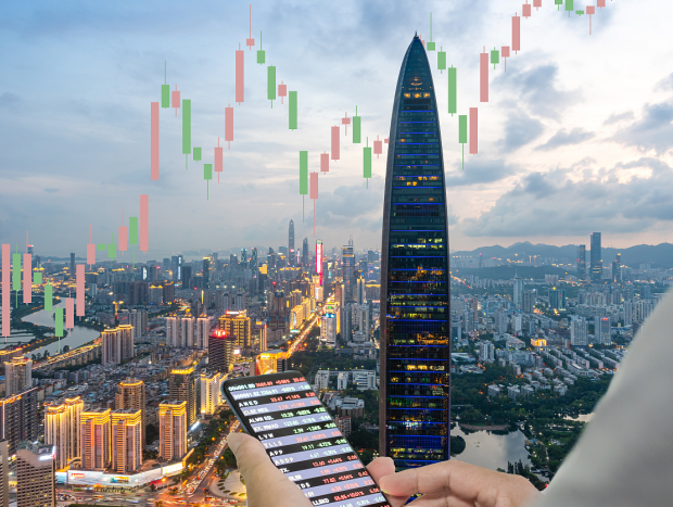 这份务实的 这份务实的